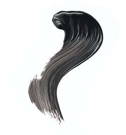 THE FALSE LASHES