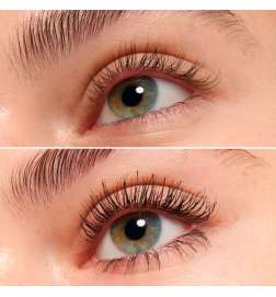 THE FALSE LASHES