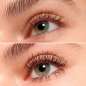 THE FALSE LASHES THE FALSE LASHES
