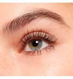 THE FALSE LASHES