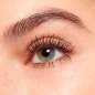 THE FALSE LASHES THE FALSE LASHES