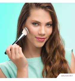 Professional B4 Blush brush
