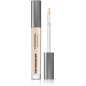 The Concealer The Concealer