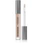 The Concealer