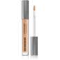 The Concealer The Concealer