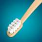 Toothbrush Silk Toothbrush Silk