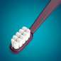 Toothbrush Silk Toothbrush Silk
