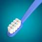 Toothbrush Silk Toothbrush Silk