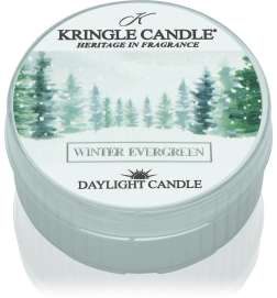 Winter Evergreen