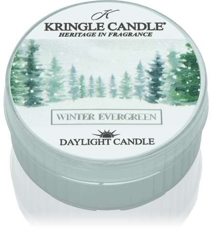 Winter Evergreen