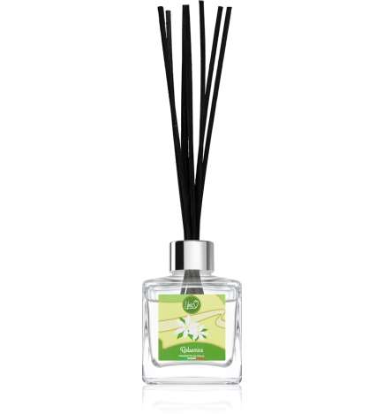 Unico Jasmine