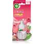 Sparkling Rose & Raspberry
