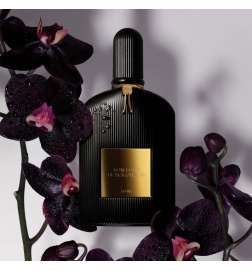 Black Orchid