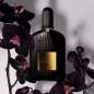 Black Orchid Black Orchid