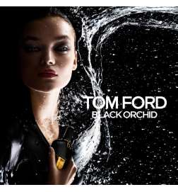 Black Orchid