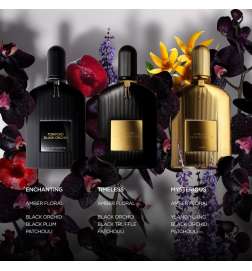 Black Orchid