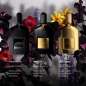 Black Orchid Black Orchid