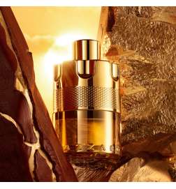 Wanted Forever Elixir