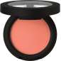 Soft Blur Powder Brush
