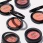 Soft Blur Powder Brush Soft Blur Powder Brush