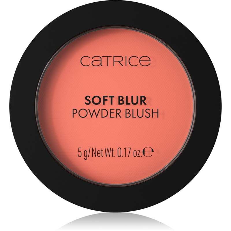 Soft Blur Powder Brush Soft Blur Powder Brush