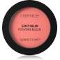 Soft Blur Powder Brush Soft Blur Powder Brush