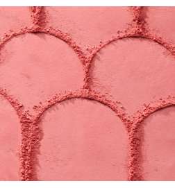 Soft Blur Powder Brush