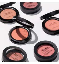 Soft Blur Powder Brush