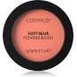 Soft Blur Powder Brush Soft Blur Powder Brush