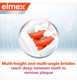 Expert Precision Interdental