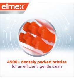 Expert Precision Interdental