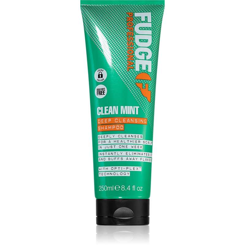 Clean Mint Shampoo