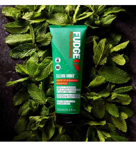 Clean Mint Shampoo