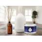 Aromatherapy Moment of Zen Aromatherapy Moment of Zen