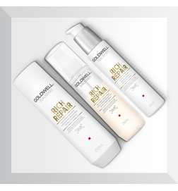 Dualsenses Rich Repair