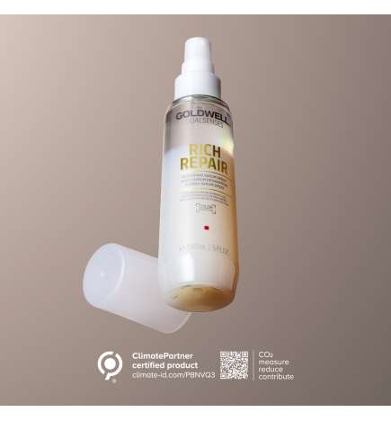 Dualsenses Rich Repair