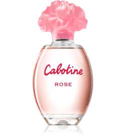 Cabotine Rose