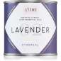 Essential 02 / Lavender Essential 02 / Lavender