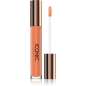 Lip Plumping Gloss Lip Plumping Gloss