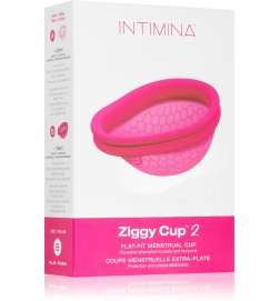 Ziggy Cup 2 B