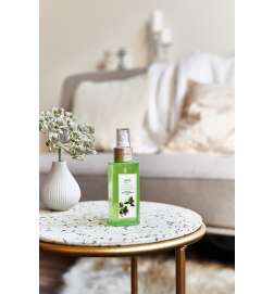 Essentials Lime Light