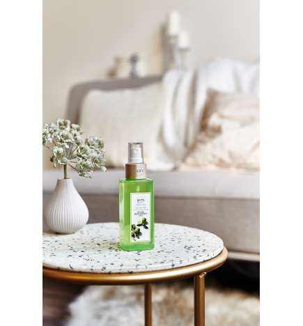 Essentials Lime Light