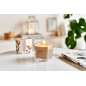Essentials Cedar Wood