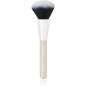 Brush Powder Brush Powder