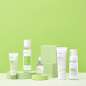 Tea Tree Tea Tree