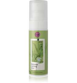 Spray Set Go