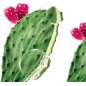 Prickly Pear Prickly Pear