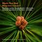 Black Pine Primus Black Pine Primus