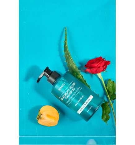 Dandruff Relief Shampoo Apple Green Tea