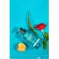 Dandruff Relief Shampoo Apple Green Tea